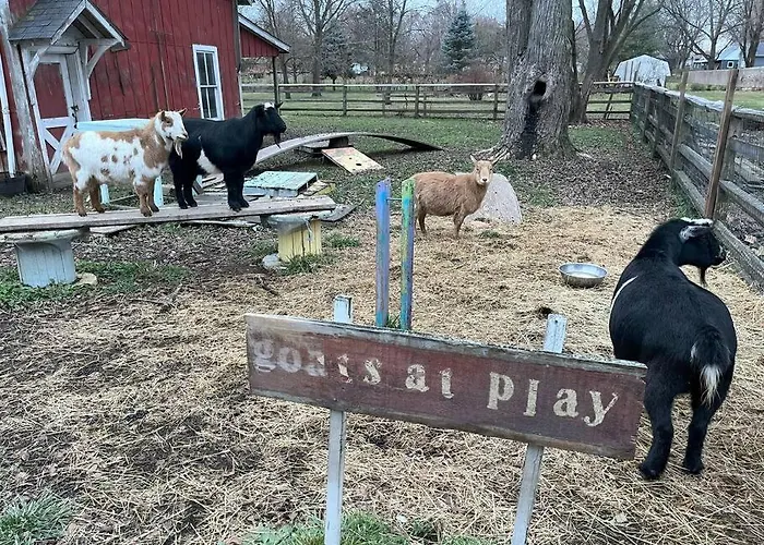Casa de férias The Goat Farm *